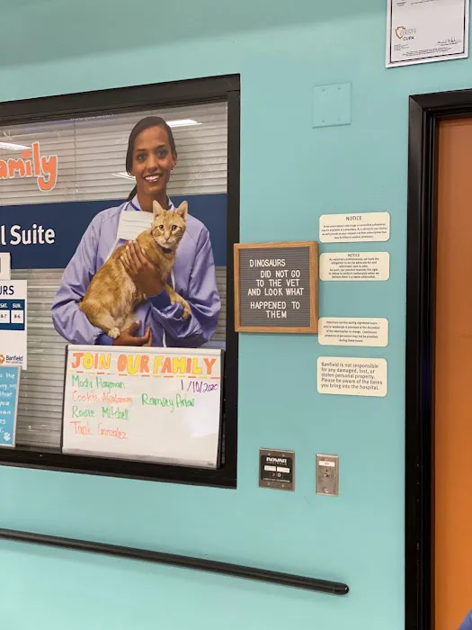 Banfield Pet Hospital Picture 2