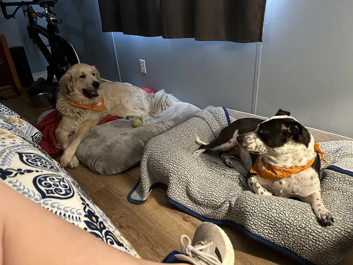 Banfield Pet Hospital Picture 5