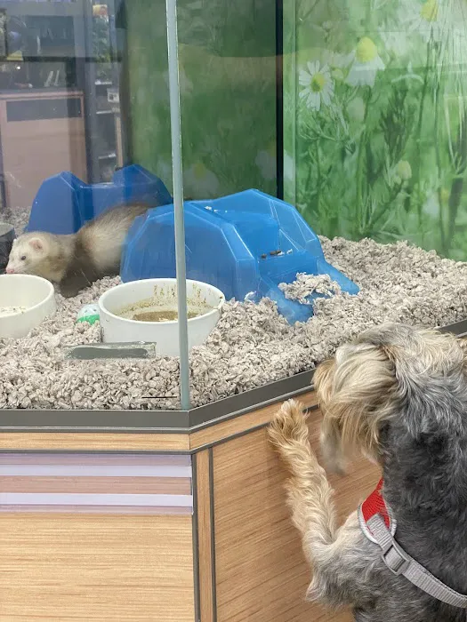 Petco Picture 6