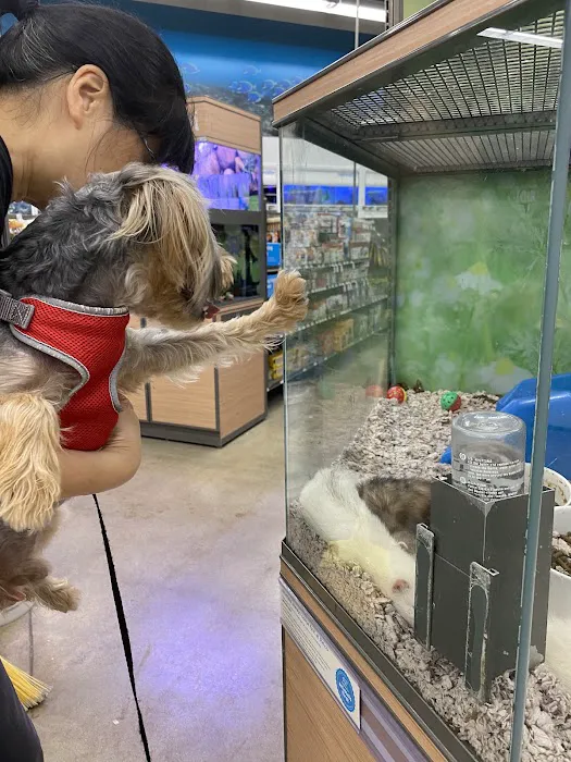 Petco Picture 8
