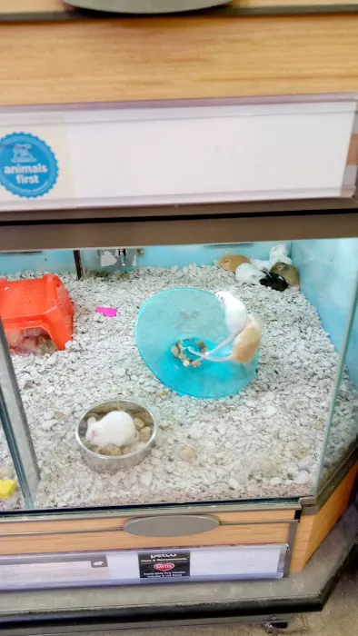 Petco Picture 3