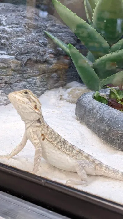 Petco Picture 1
