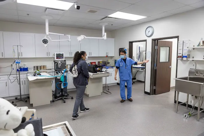 Graceful Animal Hospital Picture 5