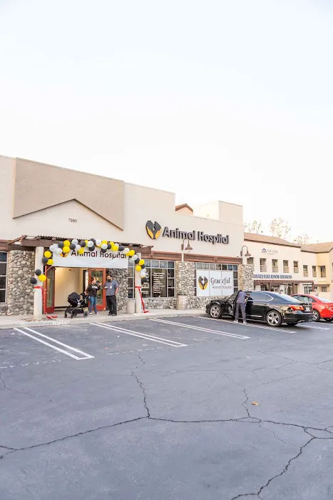 Graceful Animal Hospital Picture 2