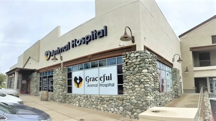 Graceful Animal Hospital Picture 7