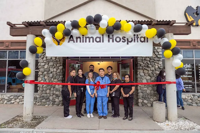 Graceful Animal Hospital Picture 10