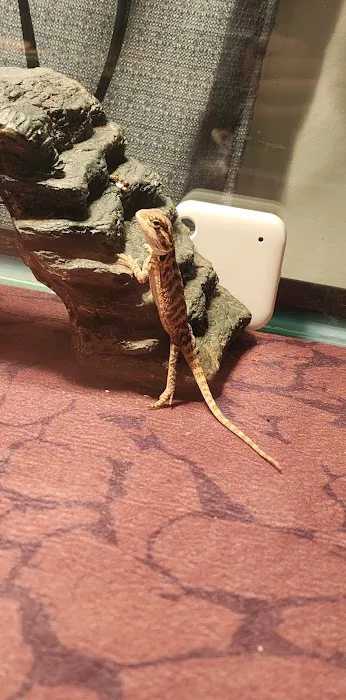 Petco Picture 4