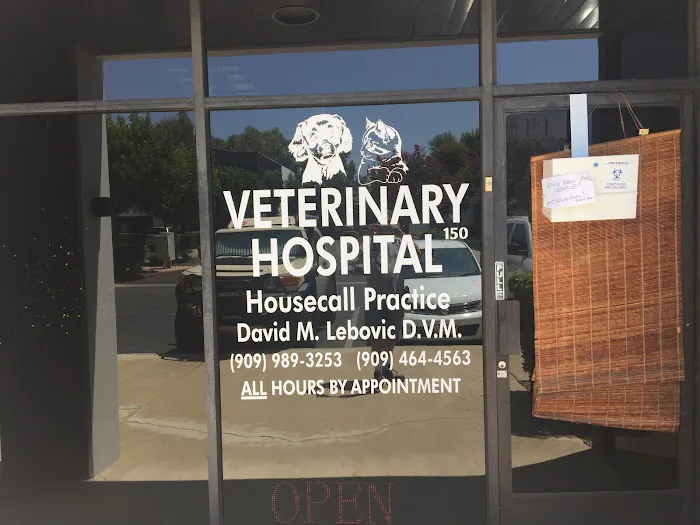David M Lebovic DVM Picture 2