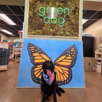 Green Dog Barkery ico