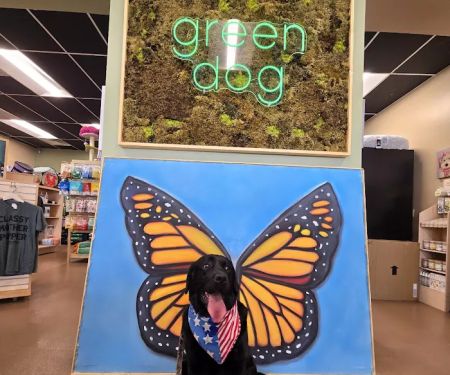 Green Dog Barkery