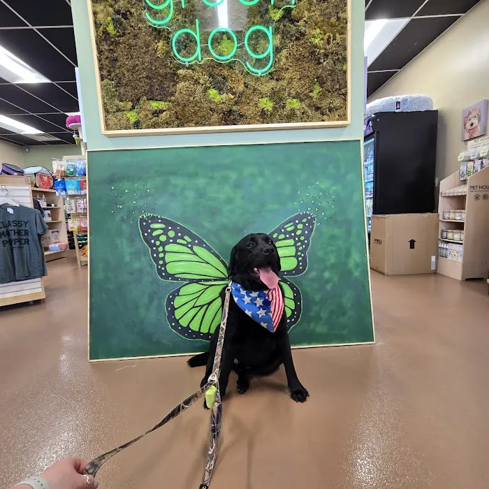 Green Dog Barkery Picture 2