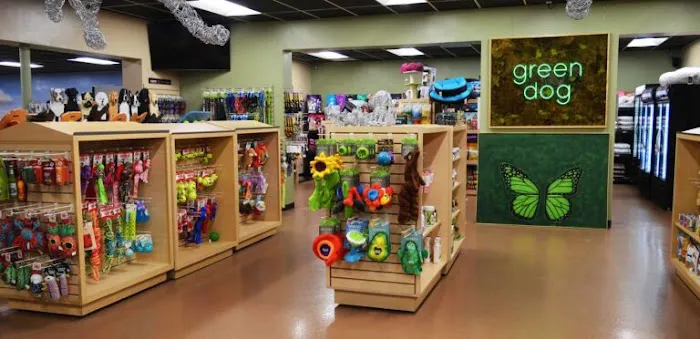 Green Dog Barkery Picture 10