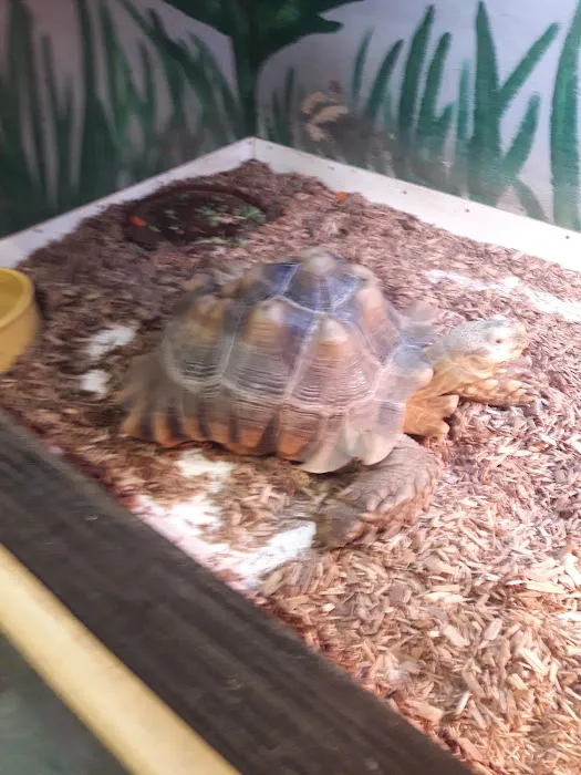 The Pet Zone Picture 4