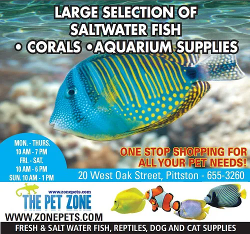 The Pet Zone Picture 10