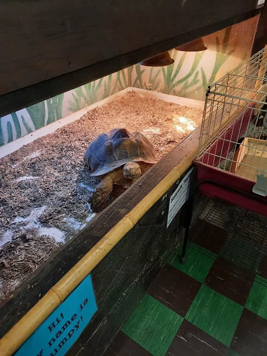 The Pet Zone Picture 6