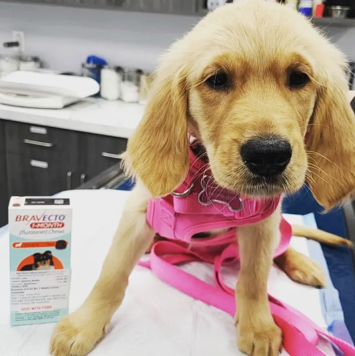 New Haven Animal Hospital Picture 2