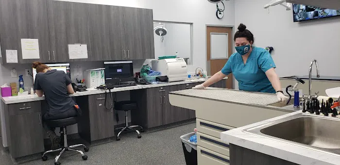 New Haven Animal Hospital Picture 3