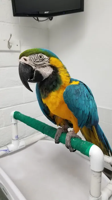 Alta Rancho Pet & Bird Hospital Picture 7