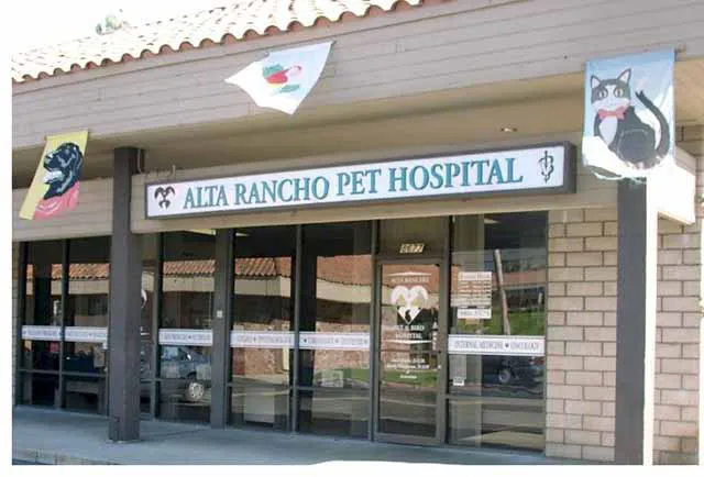 Alta Rancho Pet & Bird Hospital Picture 3