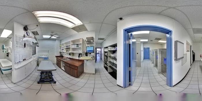Alta Rancho Pet & Bird Hospital Picture 8