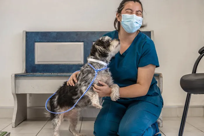 Alta Rancho Pet & Bird Hospital Picture 2