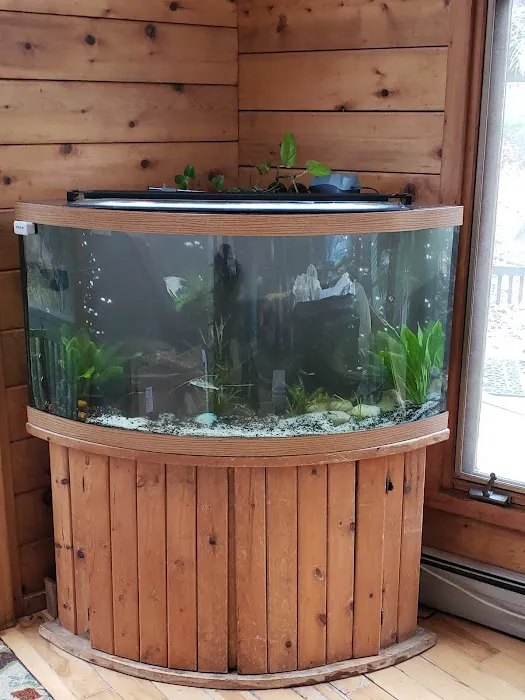 Exotic Aquatics Picture 3
