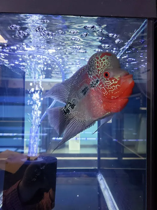Exotic Aquatics Picture 4