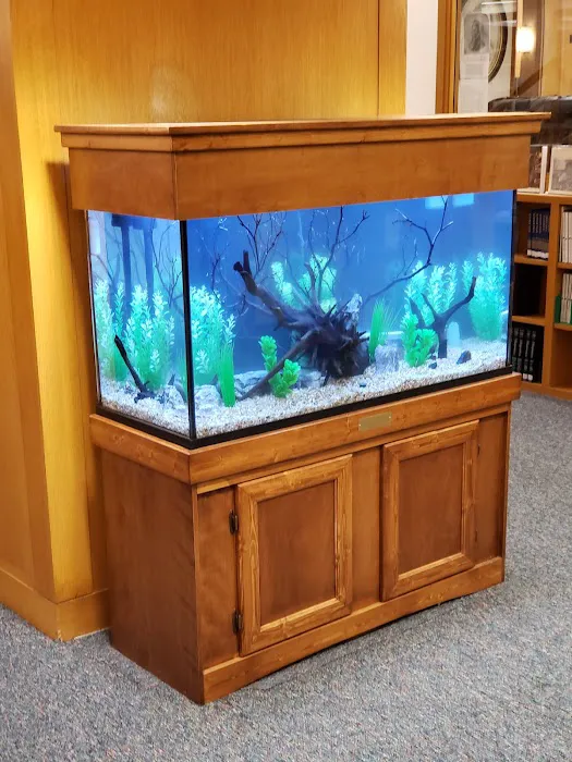 Exotic Aquatics Picture 10