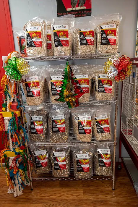 Anas Parrots and Supplies Picture 3