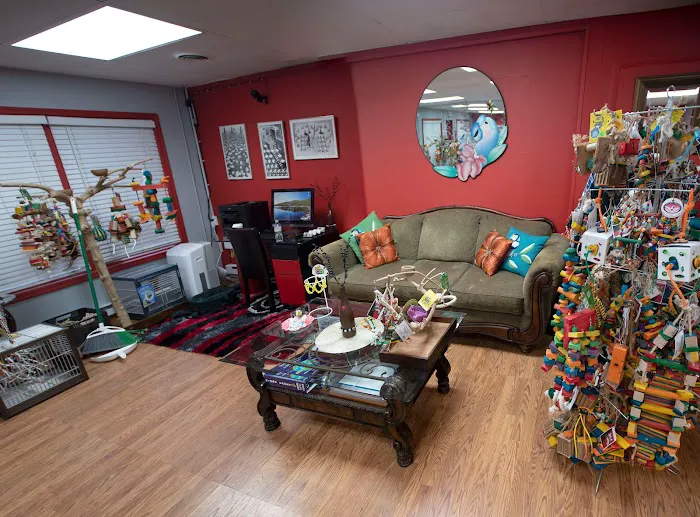 Anas Parrots and Supplies Picture 1