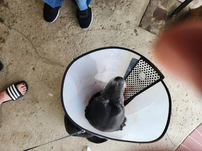 Alta Loma Animal Hospital Picture 7