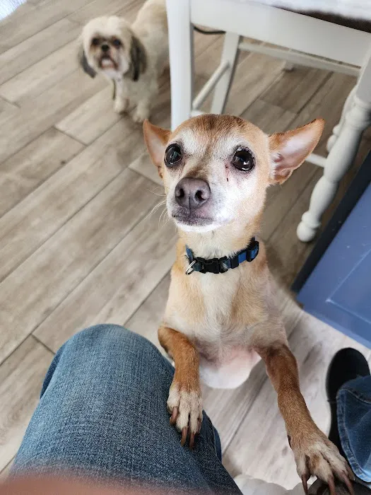 Alta Loma Animal Hospital Picture 6