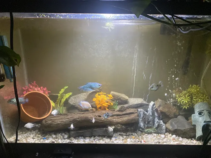 Aaron’s Aquatic's Picture 2