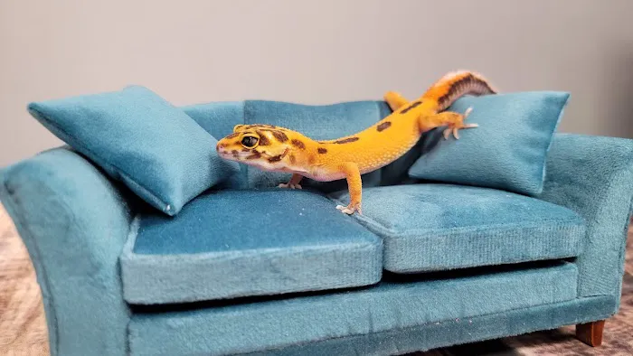 Wild Exotics LLC Picture 7