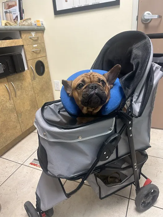 Baseline Animal Hospital, Boarding, & Grooming Picture 3