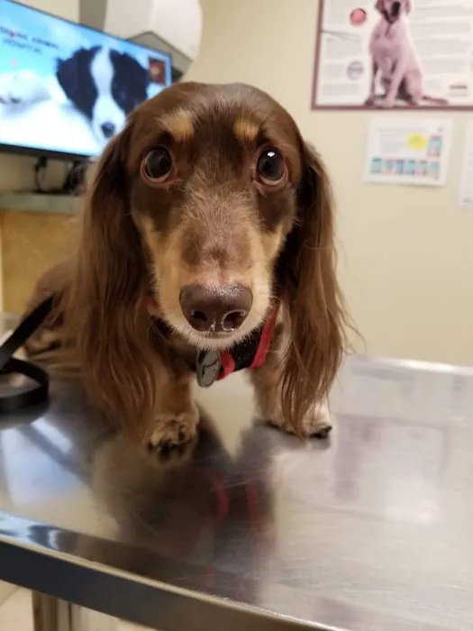 Baseline Animal Hospital, Boarding, & Grooming Picture 4