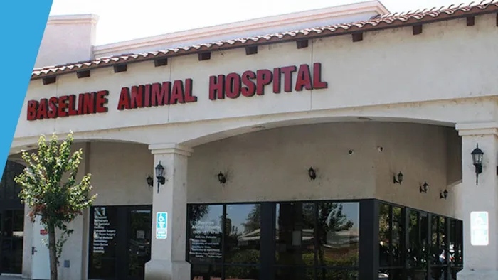 Baseline Animal Hospital, Boarding, & Grooming Picture 9