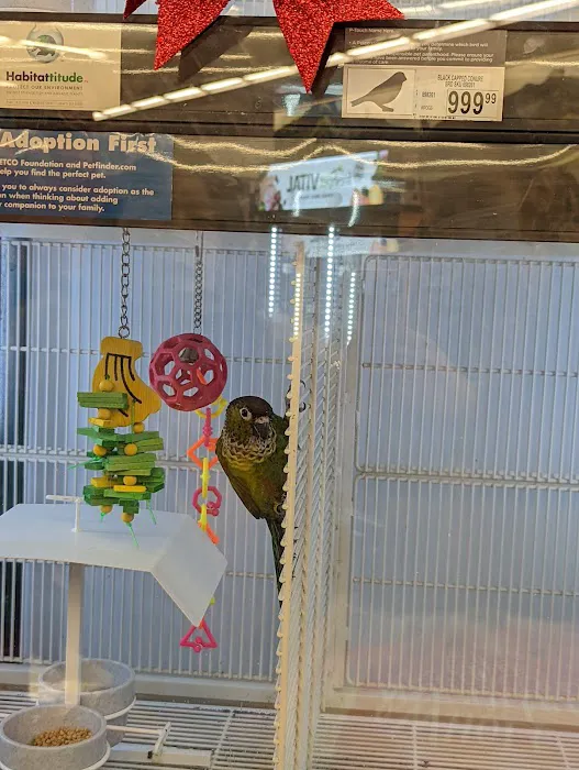 Petco Picture 4