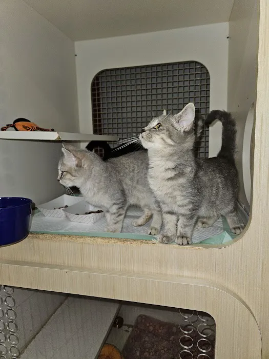 Petco Picture 2