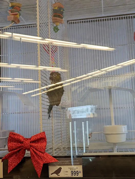 Petco Picture 5
