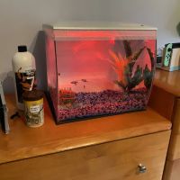 Vienna Aquarium & Pets ico