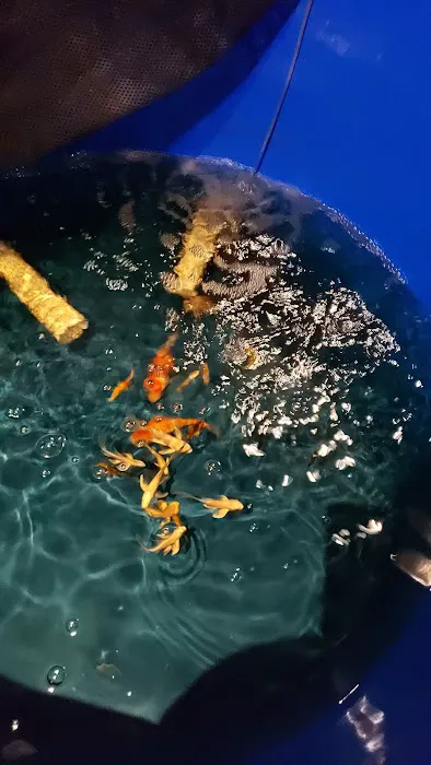 Vienna Aquarium & Pets Picture 4