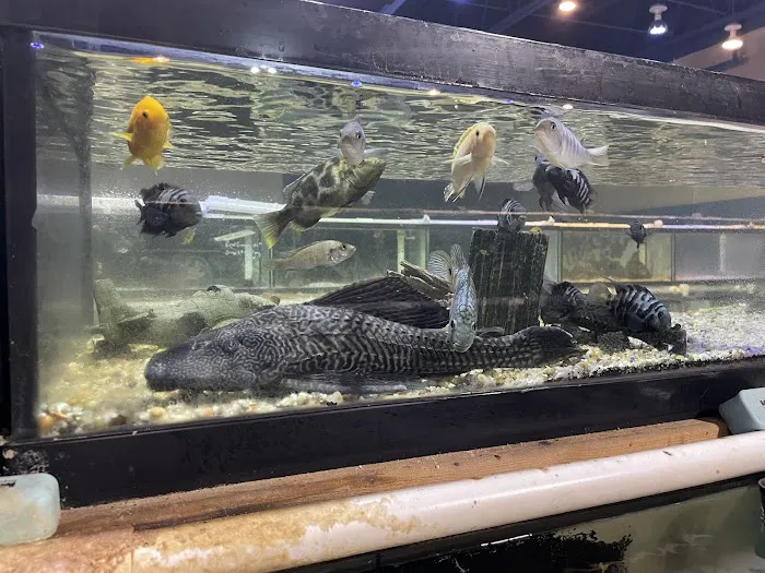 Vienna Aquarium & Pets Picture 6