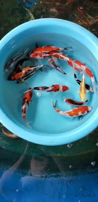 Vienna Aquarium & Pets Picture 2