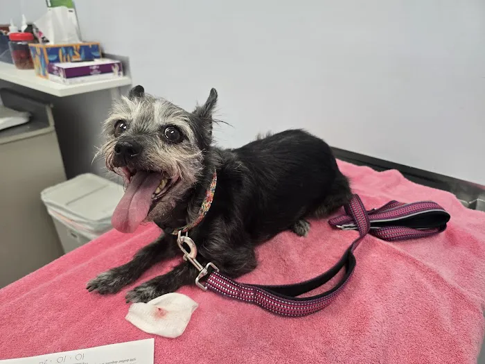 Archibald Pet Hospital Picture 8