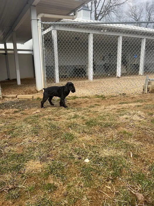 Pet Retreat At Paramount Farms Picture 1