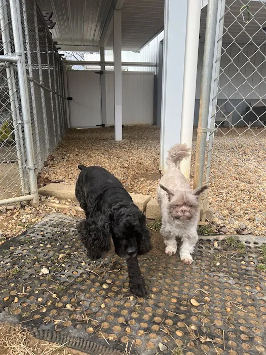 Pet Retreat At Paramount Farms Picture 2