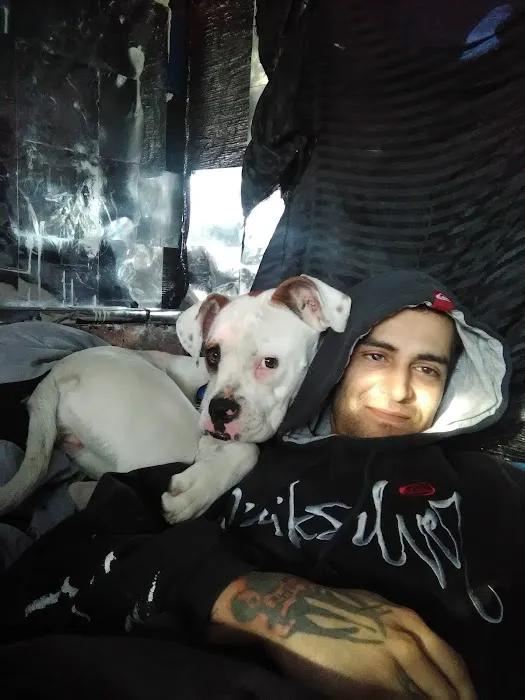 Banfield Pet Hospital Picture 7
