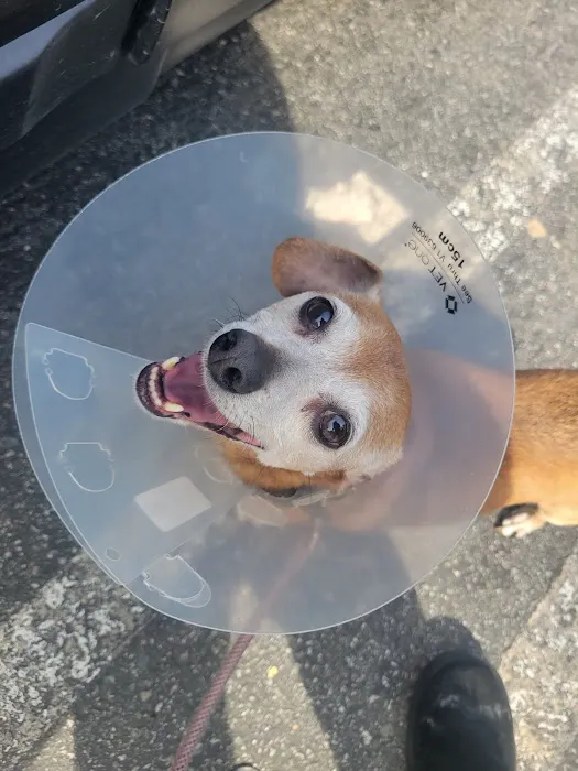 Banfield Pet Hospital Picture 1