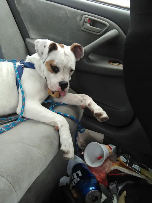 Banfield Pet Hospital Picture 6